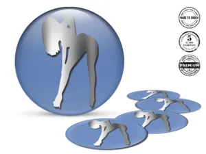 Domed Badge Logo Racing Tuning Sport Edition